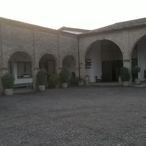 Serena , Vigonovo (Veneto) Italy